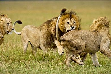 《漫画英雄VS卡普空：无限》新MOD让玩家回归游戏