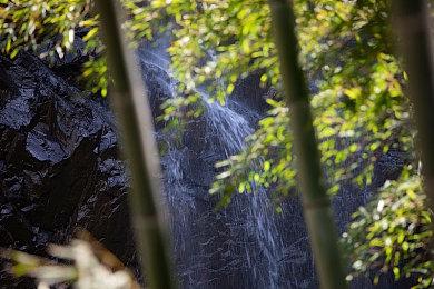 性转三国群像AVG《孟德大小姐与自爆少年》4月20日发售